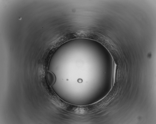 X0000100210751200806061345