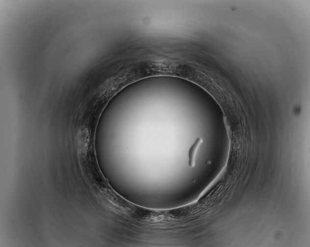 X0000100210752200806061345