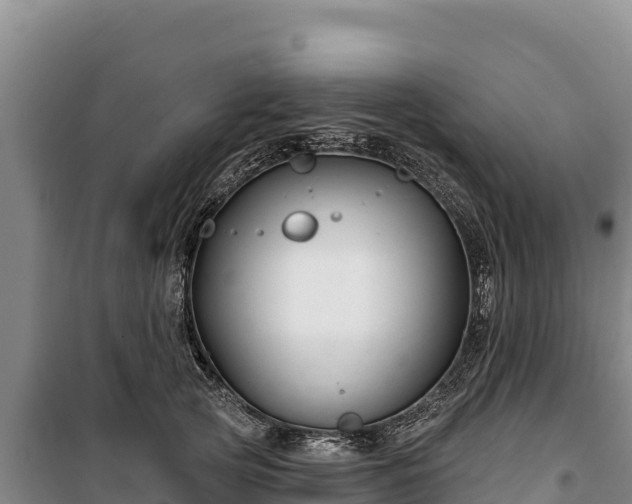 X0000100210753200806061345