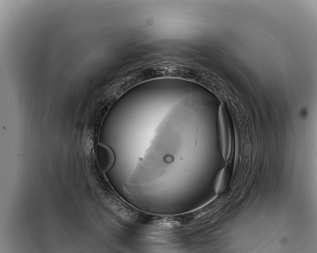 X0000100210754200806061345