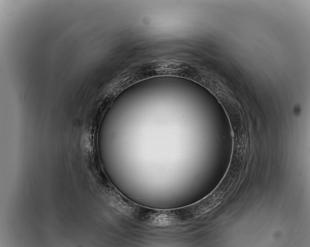 X0000100210755200806061345