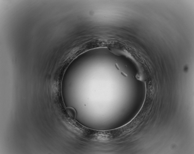 X0000100210756200806061345