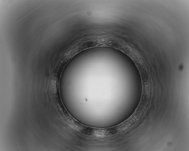 X0000100210757200806061345