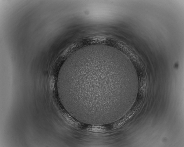 X0000100210758200806061345