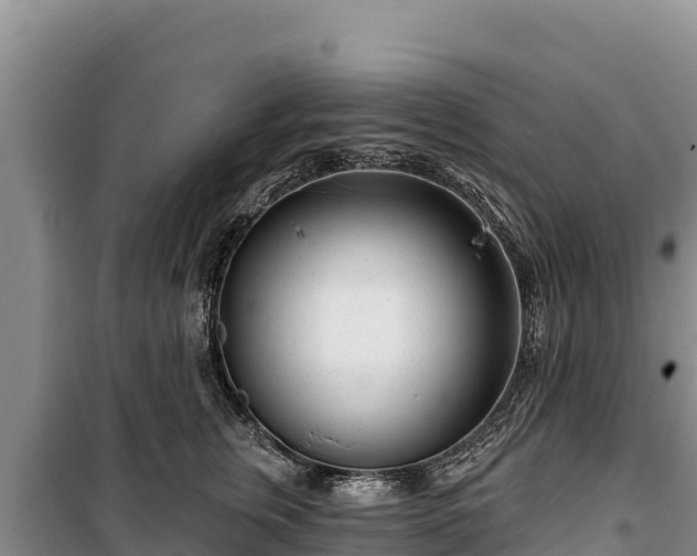 X0000100210759200806061345