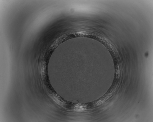 X0000100210760200806061345