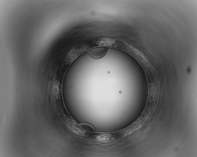 X0000100210761200806061345