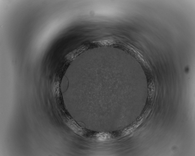 X0000100210762200806061345