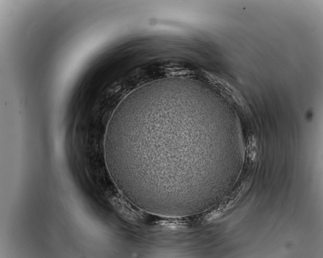 X0000100210763200806061345