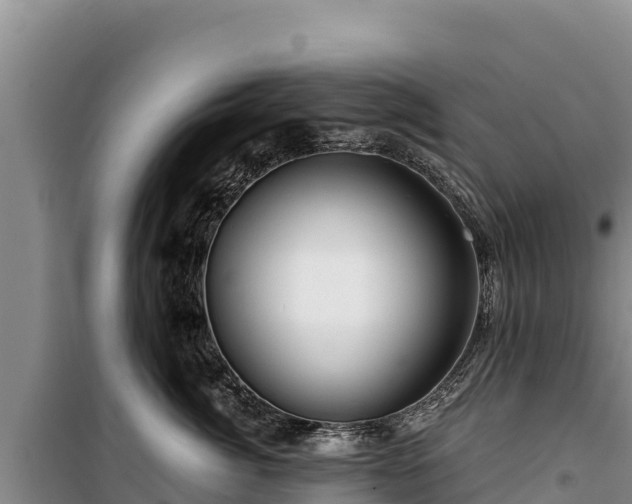 X0000100210764200806061345