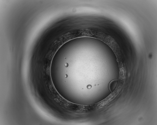 X0000100210765200806061345