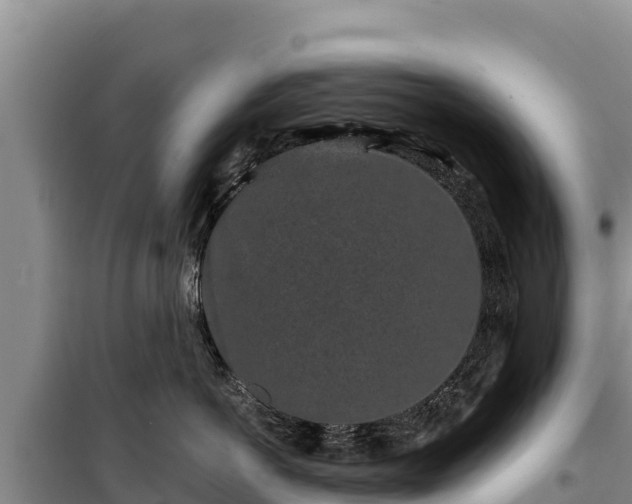 X0000100210766200806061346