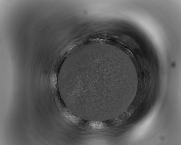 X0000100210767200806061346