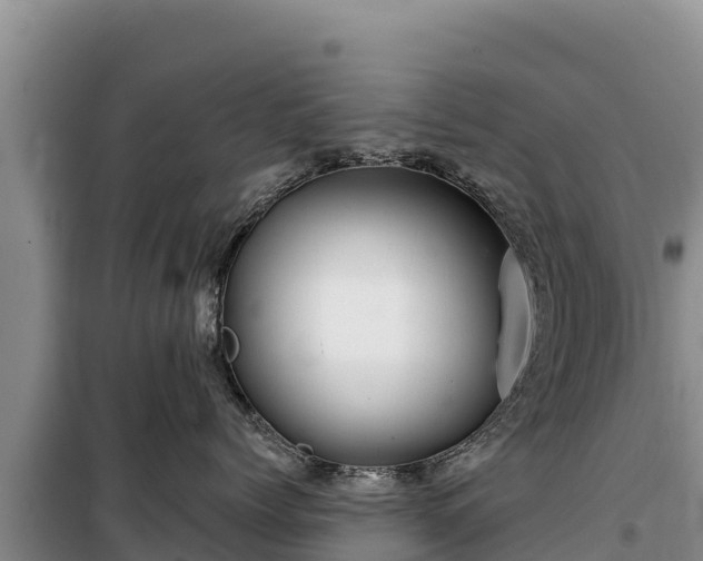 X0000100210768200806061346