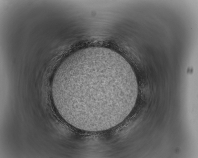 X0000100210769200806061345