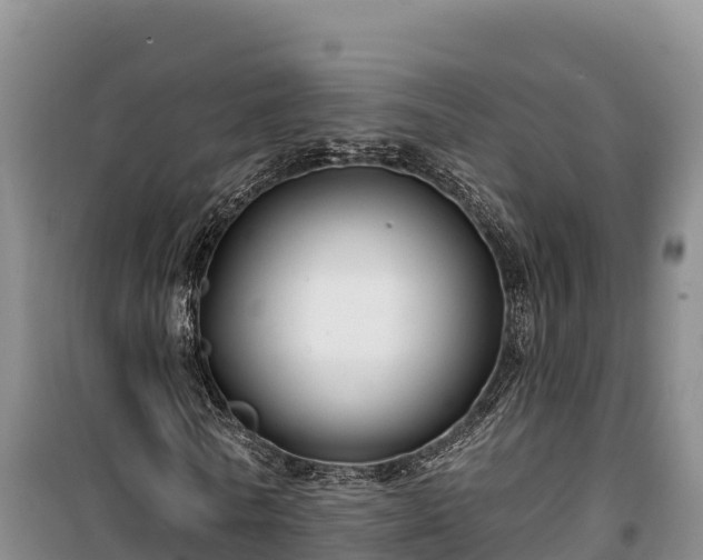 X0000100210770200806061345