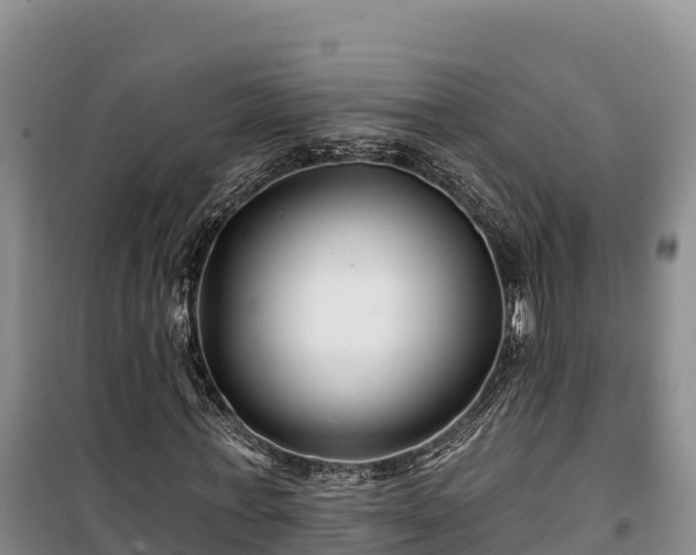 X0000100210771200806061345