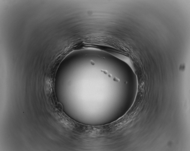 X0000100210772200806061345