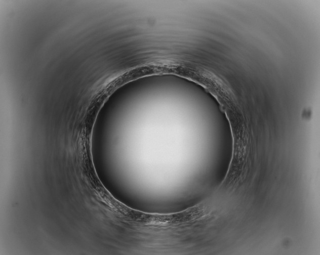 X0000100210773200806061345