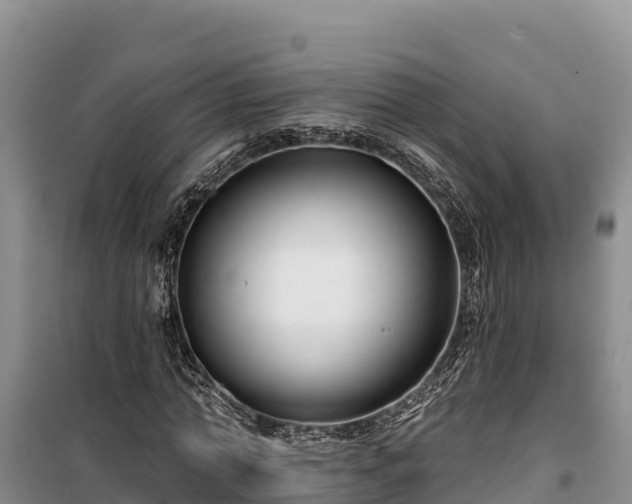 X0000100210774200806061345