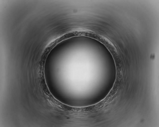 X0000100210775200806061345