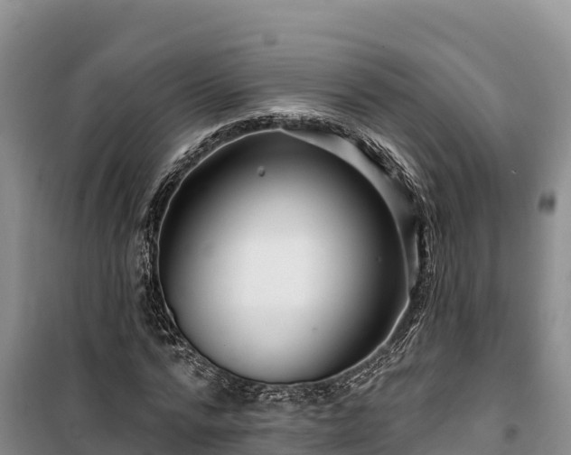 X0000100210776200806061345