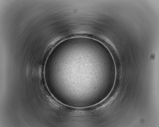 X0000100210777200806061345