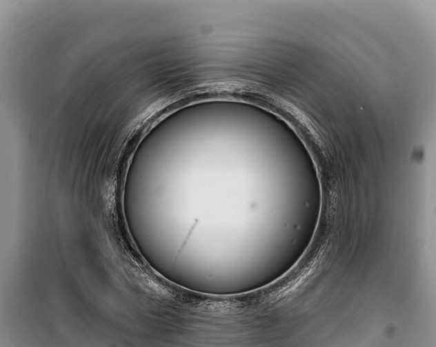 X0000100210778200806061345