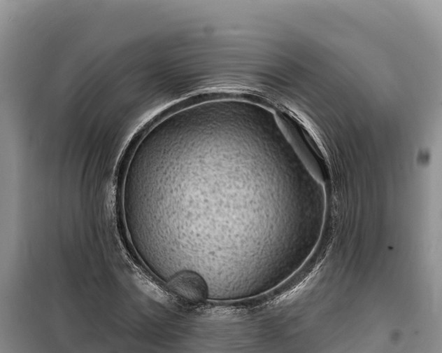 X0000100210779200806061345