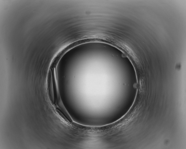 X0000100210780200806061345