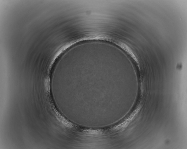 X0000100210781200806061345