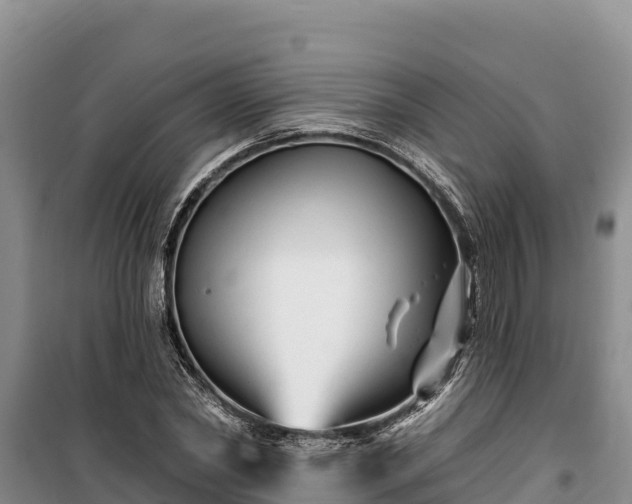 X0000100210782200806061345