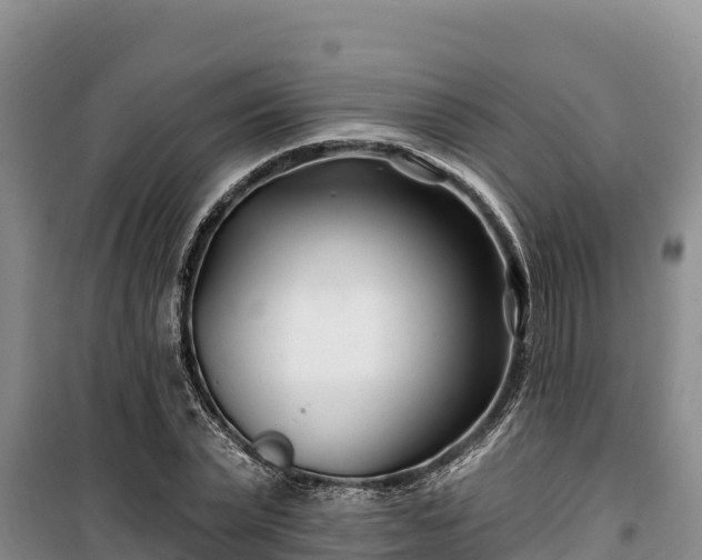 X0000100210783200806061345