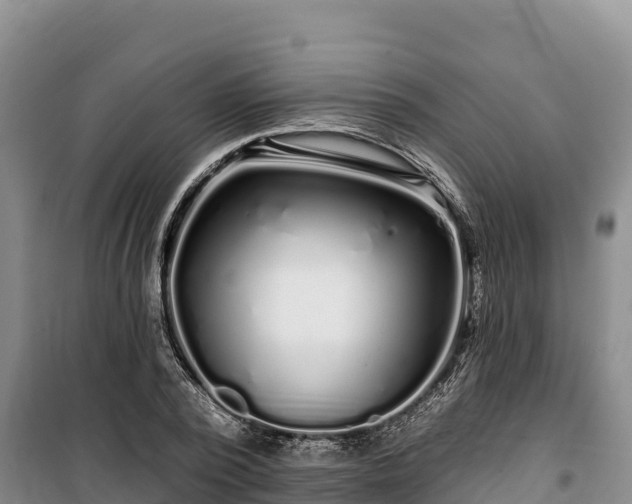 X0000100210784200806061345