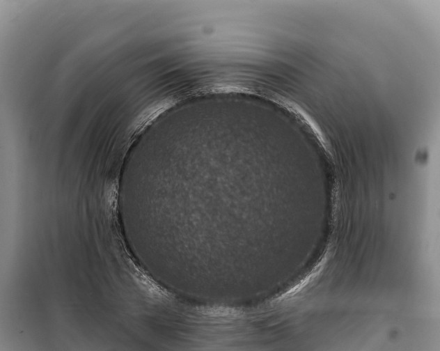 X0000100210785200806061345