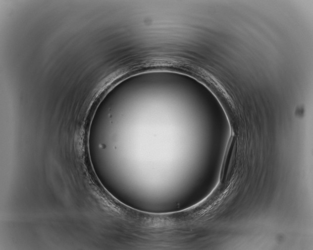 X0000100210786200806061345