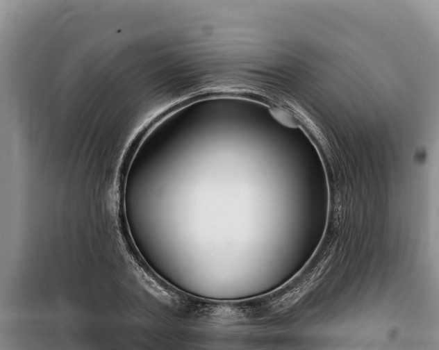 X0000100210787200806061345