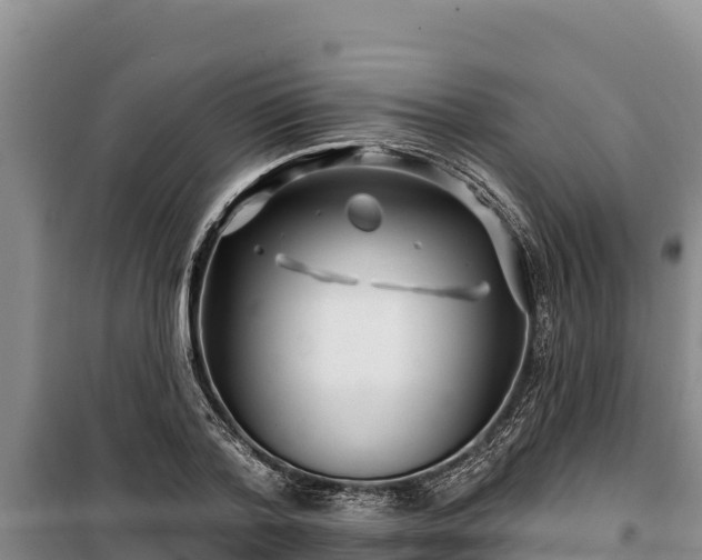 X0000100210788200806061345