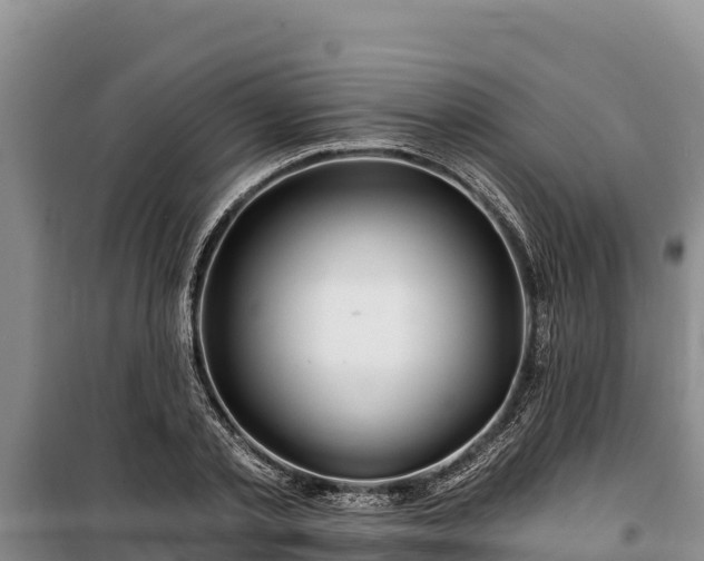 X0000100210789200806061345