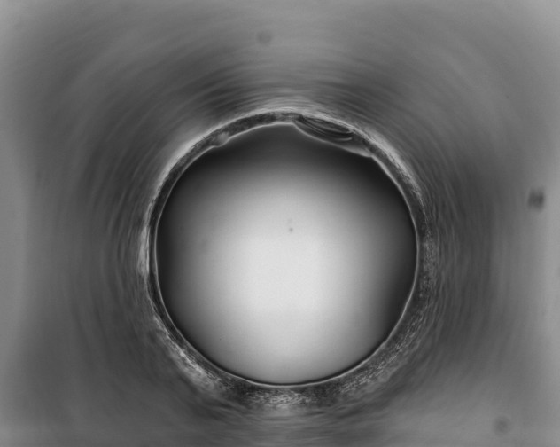 X0000100210791200806061345