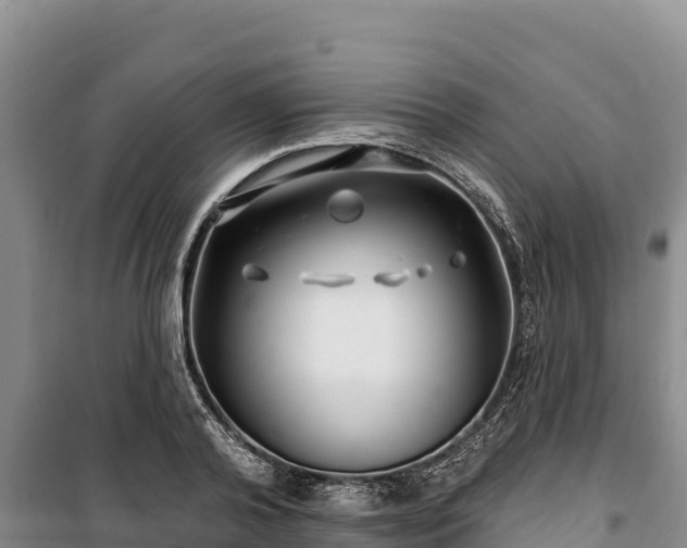 X0000100210792200806061345