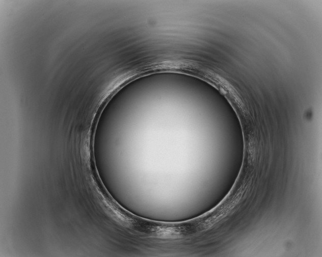 X0000100210794200806061345