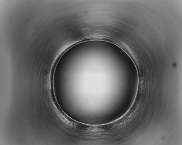 X0000100210795200806061345