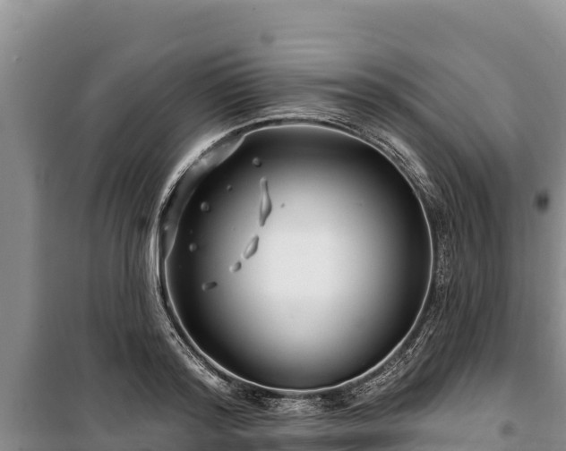 X0000100210796200806061344