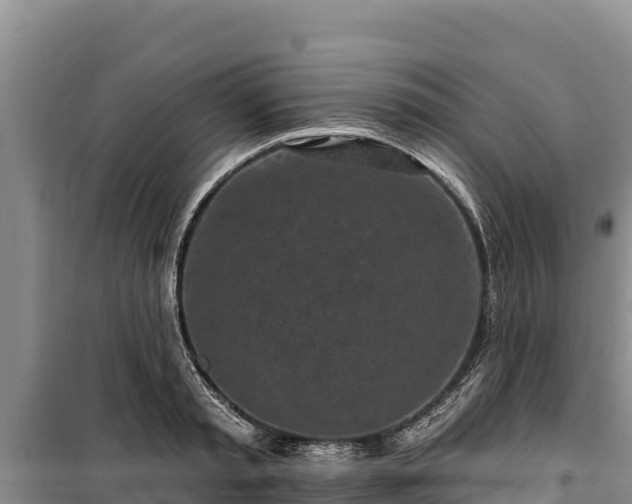 X0000100210797200806061344