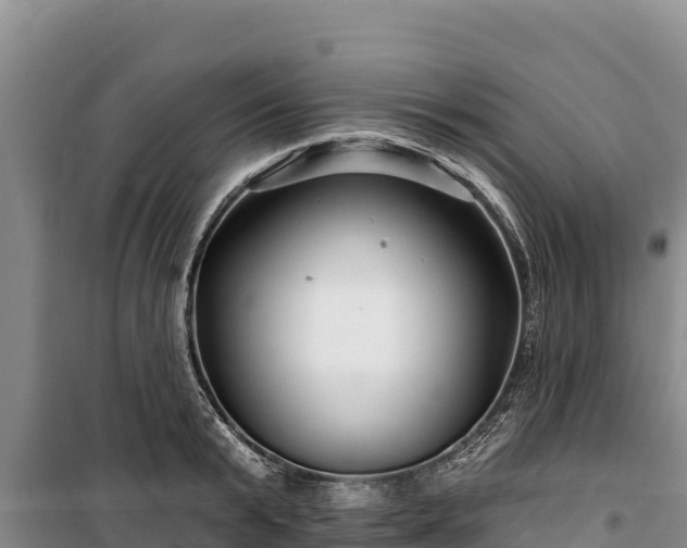 X0000100210799200806061344