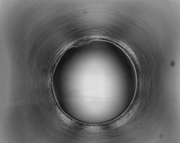 X0000100210801200806061344