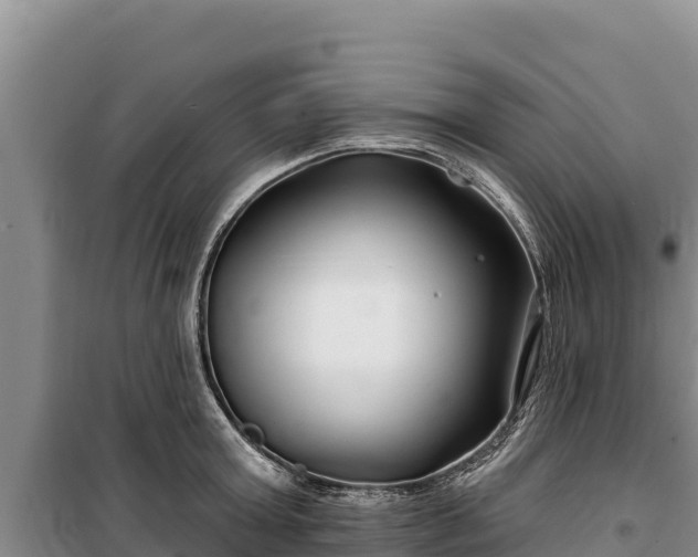 X0000100210803200806061344