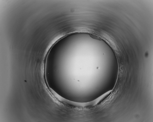 X0000100210804200806061344