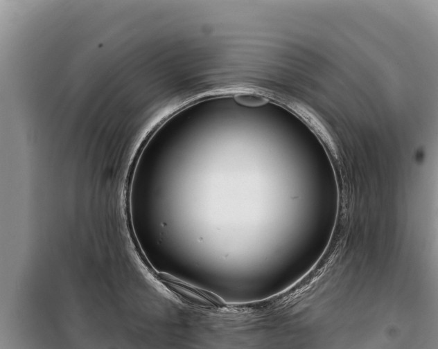 X0000100210805200806061344